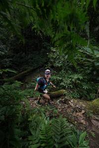 BIB: 
                            <button type="button" onclick="openModal(16029999)" class="btn btn-primary btn-sm float-right btn-popup" data-toggle="modal" data-target=".modal-high-quality">
                        <i class="fas fa-shopping-cart"></i> Add to Cart
                    </button>
                                            <button type="button" onclick="isThisMe(16029999, true)" class="btn btn-success btn-sm float-right btn-popup btn-isme hidden" data-toggle="tooltip" data-placement="bottom" title="นี่คือรูปของคุณใช่ไหม คลิกที่นี่เพื่อเอาเข้าอัลบั้ม">
                        <i class="fas fa-plus"></i> Add to album
                    </button>
                    <button type="button" onclick="isThisMe(16029999, false)" class="btn btn-warning btn-sm float-right btn-popup btn-isnotme hidden">
                        <i class="fas fa-ban"></i> Remove from album
                    </button>